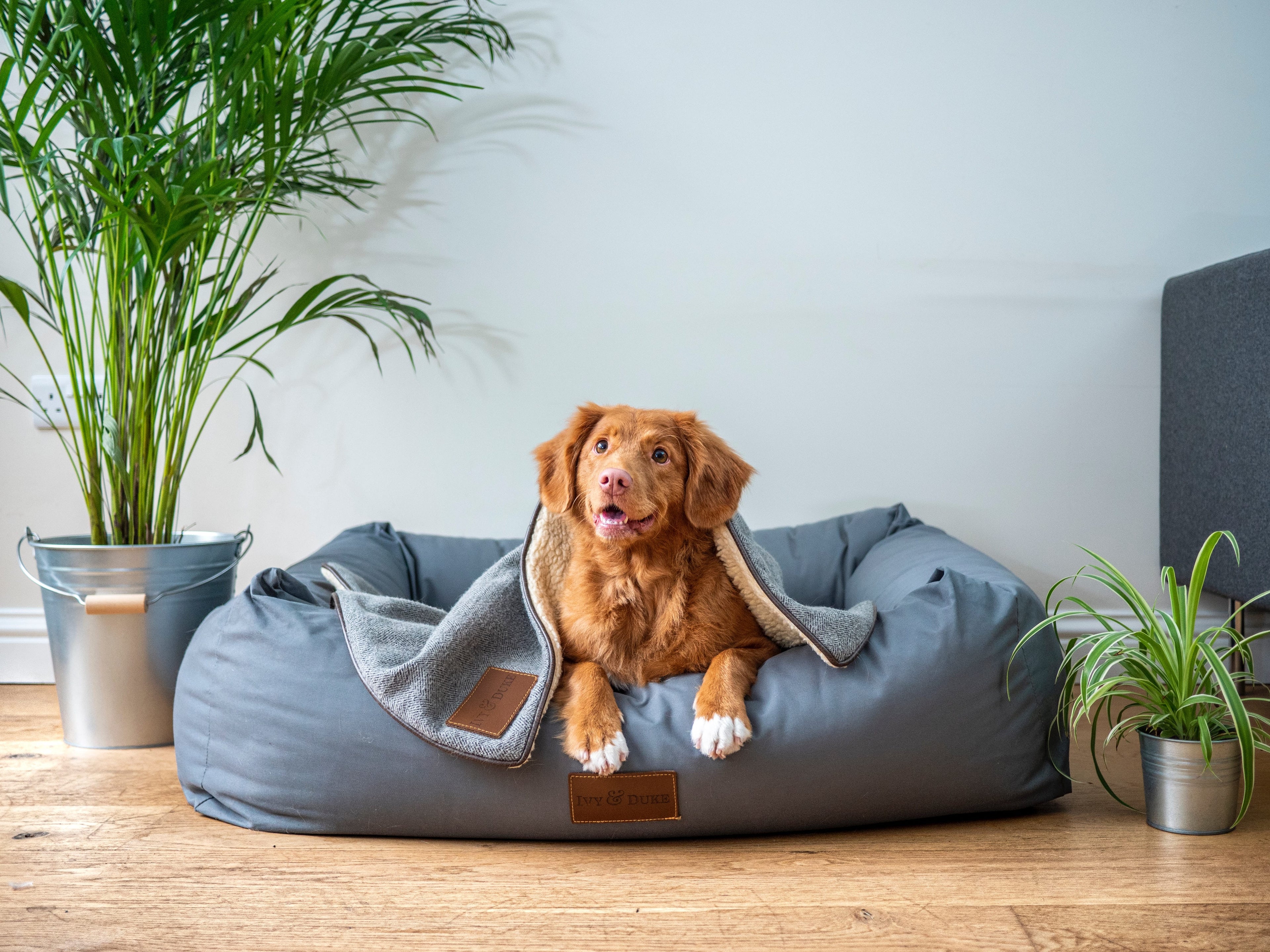 Pet bedding