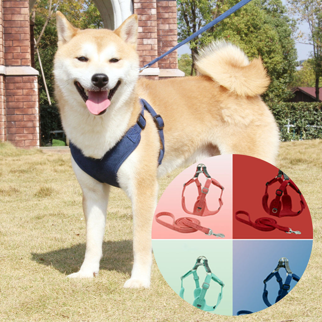 Chic Suede Dog Harness & Leash