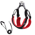 Chic Suede Dog Harness & Leash
